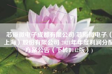 芯原微电子成都有限公司(芯原微电子（上海）股份有限公司 2021年年度利润分配方案公告（下转D142版）)