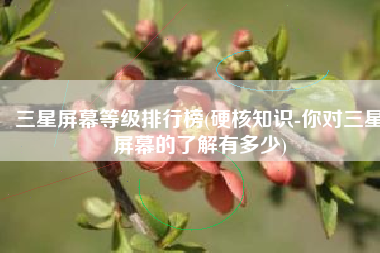 三星屏幕等级排行榜(硬核知识-你对三星屏幕的了解有多少)