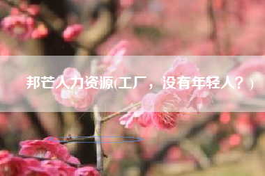 邦芒人力资源(工厂，没有年轻人？)