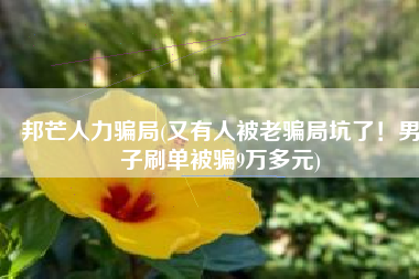 邦芒人力骗局(又有人被老骗局坑了！男子刷单被骗9万多元)