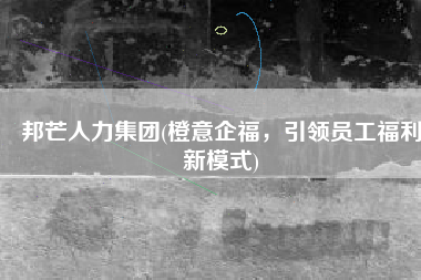 邦芒人力集团(橙意企福，引领员工福利新模式)