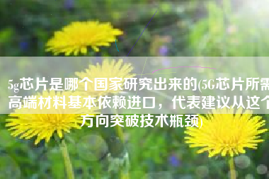 5g芯片是哪个国家研究出来的(5G芯片所需高端材料基本依赖进口，代表建议从这个方向突破技术瓶颈)