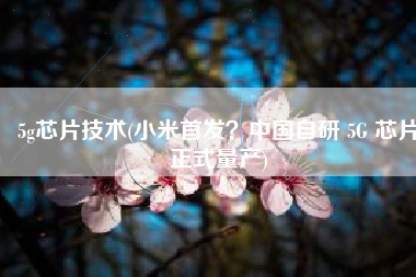 5g芯片技术(小米首发？中国自研 5G 芯片正式量产)