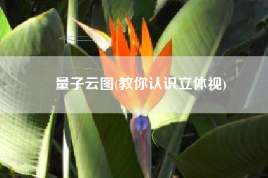 量子云图(教你认识立体视)