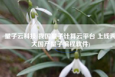 量子云科技(我国量子计算云平台 上线两大国产量子编程软件)