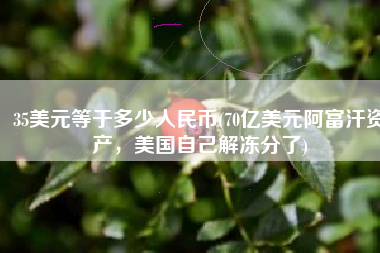 35美元等于多少人民币(70亿美元阿富汗资产，美国自己解冻分了)