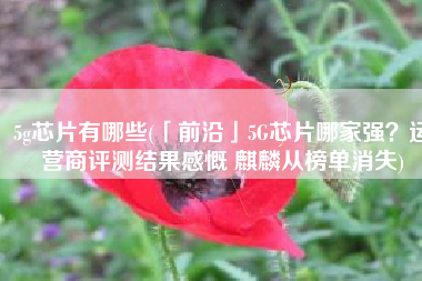 5g芯片有哪些(「前沿」5G芯片哪家强？运营商评测结果感慨 麒麟从榜单消失)
