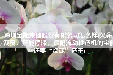 深圳宝能集团股份有限公司怎么样(欠薪、裁员、产能停滞，深陷流动性危机的宝能还要“烧钱”造车)