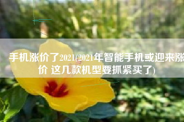 手机涨价了2021(2021年智能手机或迎来涨价 这几款机型要抓紧买了)
