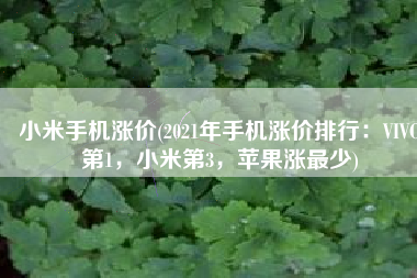 小米手机涨价(2021年手机涨价排行：VIVO第1，小米第3，苹果涨最少)