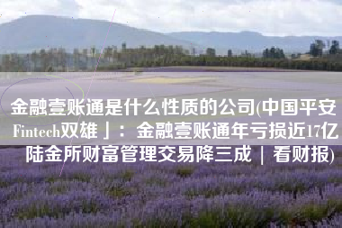 金融壹账通是什么性质的公司(中国平安「Fintech双雄」：金融壹账通年亏损近17亿，陆金所财富管理交易降三成 | 看财报)