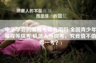 电子学会的编程考级有用吗(全国青少年编程等级考/机器人等级考，究竟值不值得一考？)
