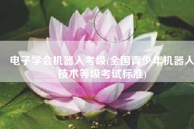 电子学会机器人考级(全国青少年机器人技术等级考试标准)
