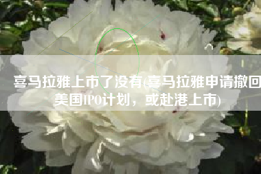 喜马拉雅上市了没有(喜马拉雅申请撤回美国IPO计划，或赴港上市)