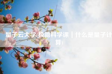 量子云大学(极简科学课｜什么是量子计算)