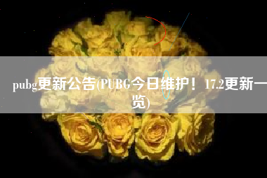 pubg更新公告(PUBG今日维护！17.2更新一览)