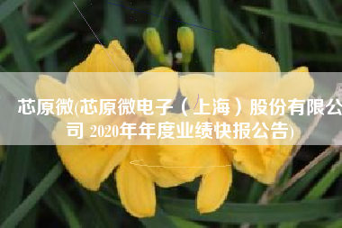 芯原微(芯原微电子（上海）股份有限公司 2020年年度业绩快报公告)