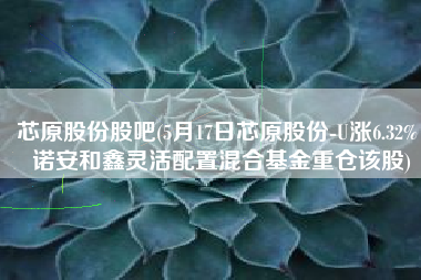 芯原股份股吧(5月17日芯原股份-U涨6.32%，诺安和鑫灵活配置混合基金重仓该股)