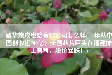晋华集成电路有限公司怎么样(一年从中国创收近700亿，美国芯片巨头在福建摊上官司，股价暴跌！)