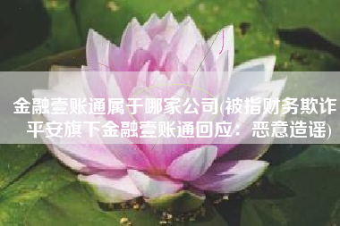 金融壹账通属于哪家公司(被指财务欺诈，平安旗下金融壹账通回应：恶意造谣)