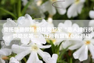 奥托猫猫微博(纳粹党卫军“恶人排行榜”，他稳居第一，让所有盟军心惊胆战)