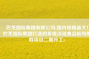 巴龙国际集团有限公司(国内规模最大！巴龙国际集团打造的多级冷链食品航母集群项目二期开工)