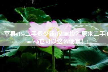苹果616g二手多少钱(仅300块？原来二手iPhone 6也可以这么便宜！)