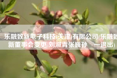 乐融致新电子科技(天津)有限公司(乐融致新董事会变更 刘淑青张巍孙喆一退出)