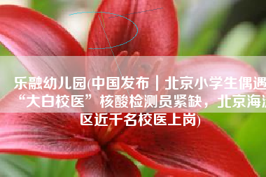 乐融幼儿园(中国发布｜北京小学生偶遇“大白校医”核酸检测员紧缺，北京海淀区近千名校医上岗)