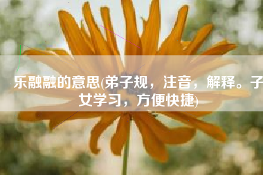 乐融融的意思(弟子规，注音，解释。子女学习，方便快捷)