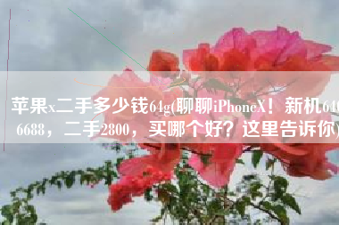 苹果x二手多少钱64g(聊聊iPhoneX！新机64G6688，二手2800，买哪个好？这里告诉你)