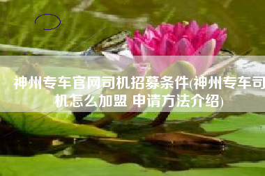 神州专车官网司机招募条件(神州专车司机怎么加盟 申请方法介绍)