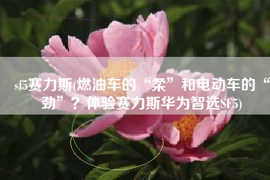 sf5赛力斯(燃油车的“柔”和电动车的“劲”？体验赛力斯华为智选SF5)