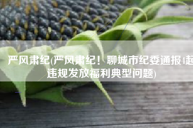严风肃纪(严风肃纪！聊城市纪委通报4起违规发放福利典型问题)
