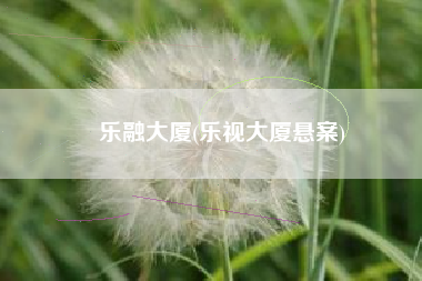 乐融大厦(乐视大厦悬案)