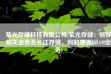 紫光存储科技有限公司(紫光存储：转移相关业务至长江存储，同时增强DRAM业务)