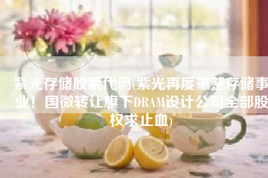 紫光存储股票代码(紫光再度重整存储事业！国微转让旗下DRAM设计公司全部股权求止血)