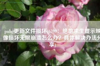 pubg更新文件损坏(6399：绝地求生提示映像损坏无限崩溃怎么办？具体解决办法分享)