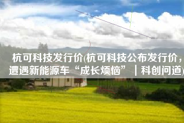 杭可科技发行价(杭可科技公布发行价，遭遇新能源车“成长烦恼”｜科创问道)