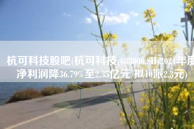 杭可科技股吧(杭可科技(688006.SH)2021年度净利润降36.79%至2.35亿元 拟10派2.3元)