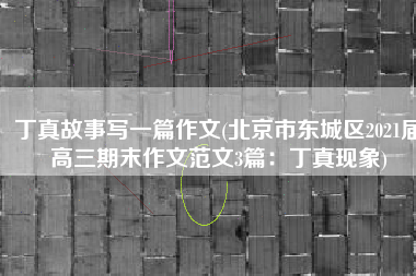 丁真故事写一篇作文(北京市东城区2021届高三期末作文范文3篇：丁真现象)