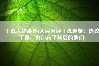 丁真人物事迹(人民网评丁真现象：热议丁真，也别忘了背后的他们)