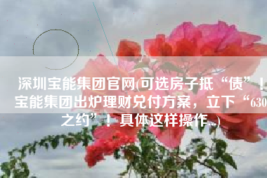 深圳宝能集团官网(可选房子抵“债”！宝能集团出炉理财兑付方案，立下“630之约”！具体这样操作...)