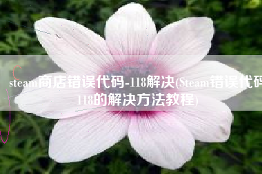 steam商店错误代码-118解决(Steam错误代码118的解决方法教程)