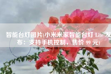 智能台灯图片(小米米家智能台灯 Lite 发布：支持手机控制，售价 99 元)