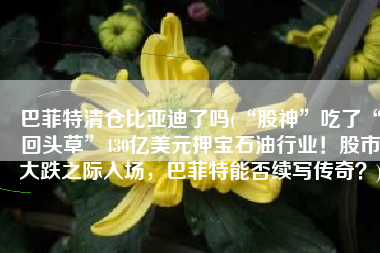 巴菲特清仓比亚迪了吗(“股神”吃了“回头草”430亿美元押宝石油行业！股市大跌之际入场，巴菲特能否续写传奇？)