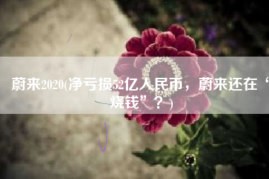蔚来2020(净亏损52亿人民币，蔚来还在“烧钱”？)