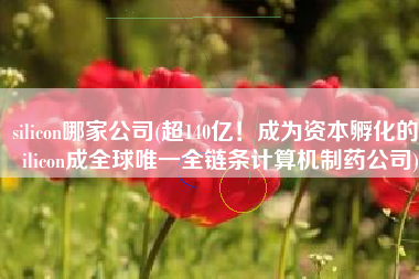 silicon哪家公司(超140亿！成为资本孵化的Silicon成全球唯一全链条计算机制药公司)
