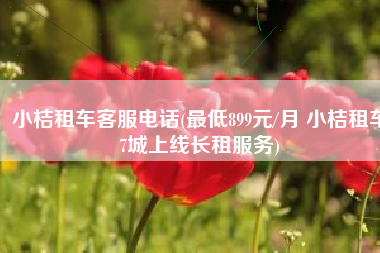 小桔租车客服电话(最低899元/月 小桔租车7城上线长租服务)