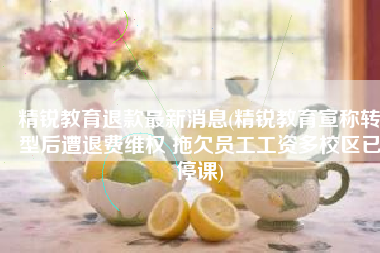 精锐教育退款最新消息(精锐教育宣称转型后遭退费维权 拖欠员工工资多校区已停课)